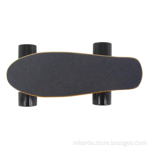 Mini Fish Electric Skateboard